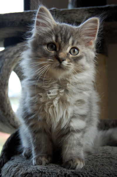 und jetzt spiel mit mir !.jpg